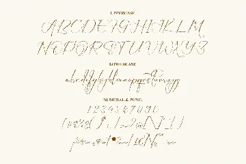 Salmanda Hannah Modern Signature Font