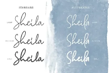 Camilla - Signature Script (6 Fonts)