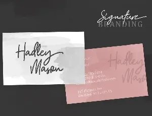 Camilla - Signature Script (6 Fonts)