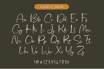 Baleny Elegant Font Duo