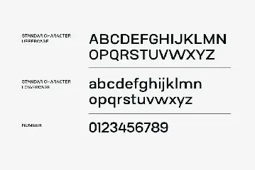 Conigen Modern Sans Serif font