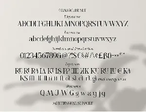 Romelu Vomelu - Modern Serif font