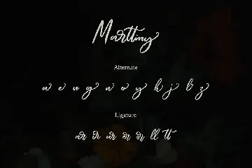 Marttiny Modern Script Font