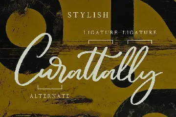 Marttiny Modern Script Font