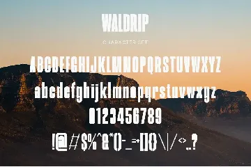 Waldrip - Modern Condensed Sans font