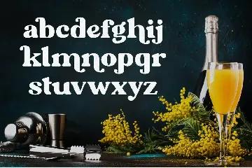 Mimosa - Modern Retro Typeface font