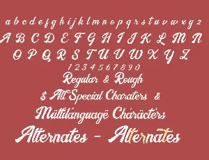 Nayland Retro Script font