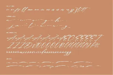 Verlitha Script Modern Signature Font