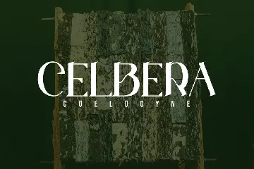 Celbera Coelogyne - Serif Font