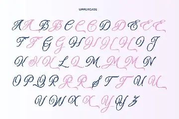 Munchen Decorative Script font