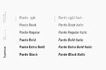 Pardo - Modern Type Family font