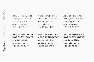 Pardo - Modern Type Family font