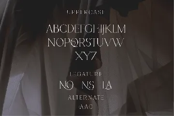 Ariens Nobela - Luxury Font