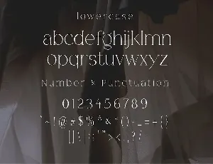 Ariens Nobela - Luxury Font