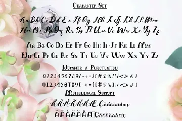 Antique Balutteli font