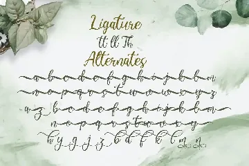 Virgiluna - Modern Calligraphy Font