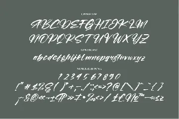 Roughton Bogatha Modern Brush Font