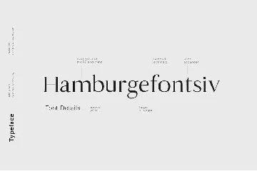 Antique - Luxury Serif Typeface font