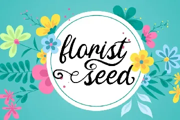 Fine Spring - Script Font