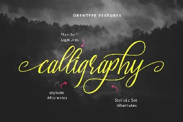 Brightside Typeface font