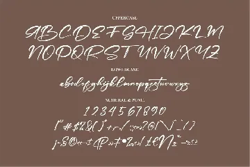 Fonticha Modern Signature Font