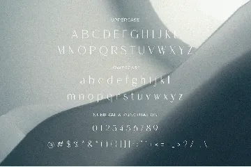 Megidana - Elegant & Stylish Sans Serif font