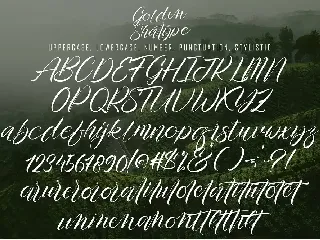 Golden Shatype font