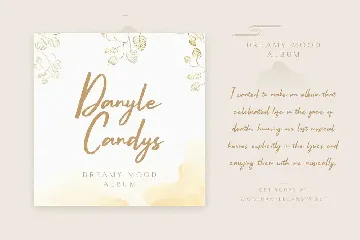 Belle Amour - Modern Calligraphy font