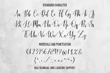 Namaqua - Modern Calligraphy Font