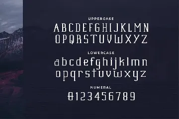 Adex Slab - Extended Slab Serif font