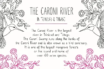 Caroni - A Handmade Typeface font