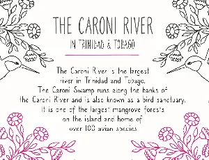 Caroni - A Handmade Typeface font