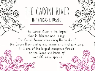 Caroni - A Handmade Typeface font