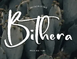 Bithera Modern Font