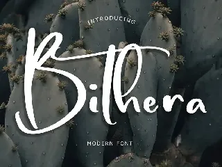 Bithera Modern Font