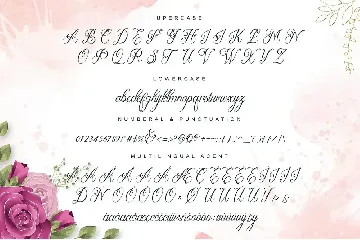 Beauty Lova a modern calligraphy font