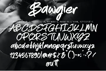 Bawgier font