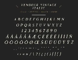 Vendeur Vintage Font Family | 8 Fonts