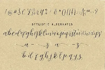 Abigaile Script Font