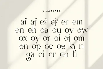 Amiora - Modern Unique Display Font