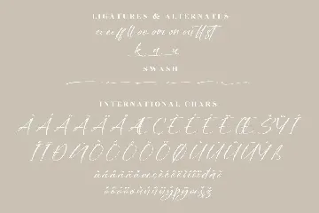 Nighty Bright Modern Handwritten Font