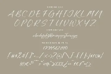 Nighty Bright Modern Handwritten Font