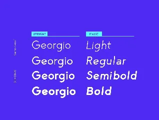 George Sans Geometric Typeface font