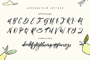 Blomming - Brush Font