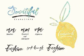 Blomming - Brush Font