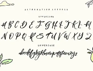 Blomming - Brush Font