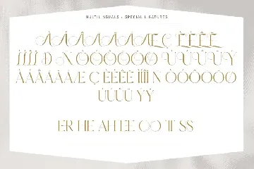 Walterosse  - Elegant Stylish Display Serif font