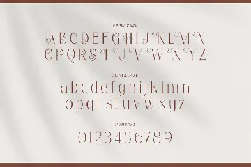 Alloquent - Elegant Serif Typeface font