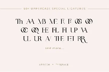 Arroem - Serif Display Font