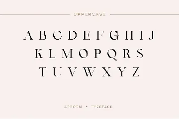 Arroem - Serif Display Font